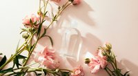 Sinnlich und verführerisch: Das dm-Parfum, das alle lieben