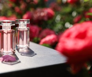 Für nur 10 Euro: Dieser Rosenduft ist ein echter Liebling