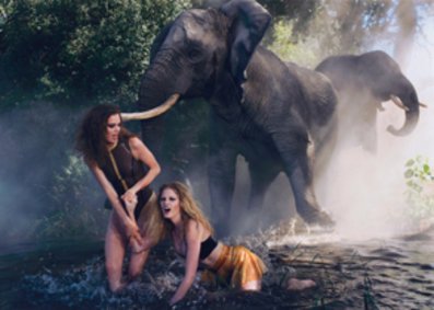 Models im Pirellikalender 2009 mit Elefanten. Models im Pirellikalender 2009 mit Elefanten.