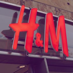 Budget-friendly: Diese Sneaker von H&M sehen viel teurer aus