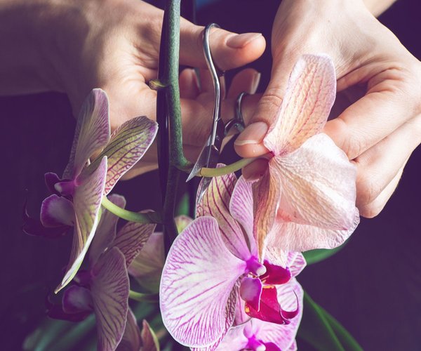 Typisch deutsche Geschenke Das hat jeder schon bekommen!