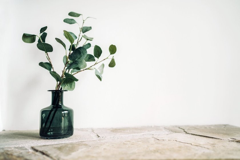 Green tree Branch putted into black glass vase on the natural stone mantel shelf on the white color wall background lit with side window light. Cozy home decor elements concept image.