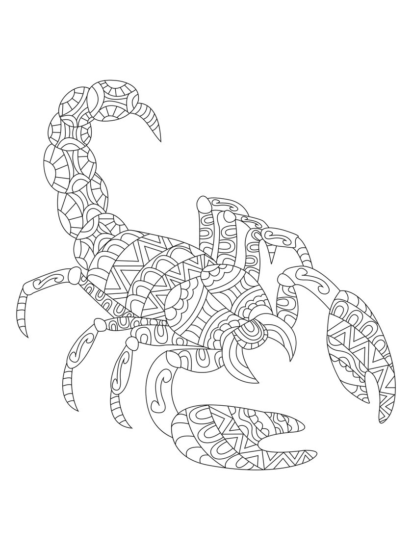 Skorpion-Tattoo Vorlage 13