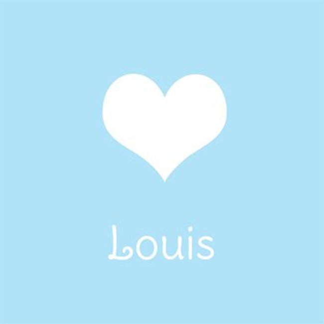 Louis Herkunft und Bedeutung des Vornamens