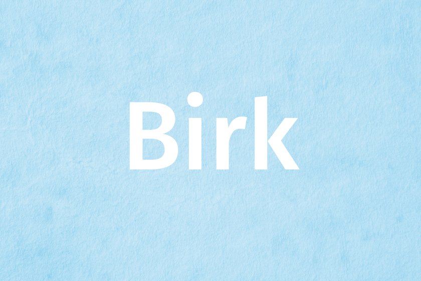Name Birk