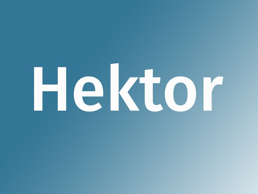 Name Hektor