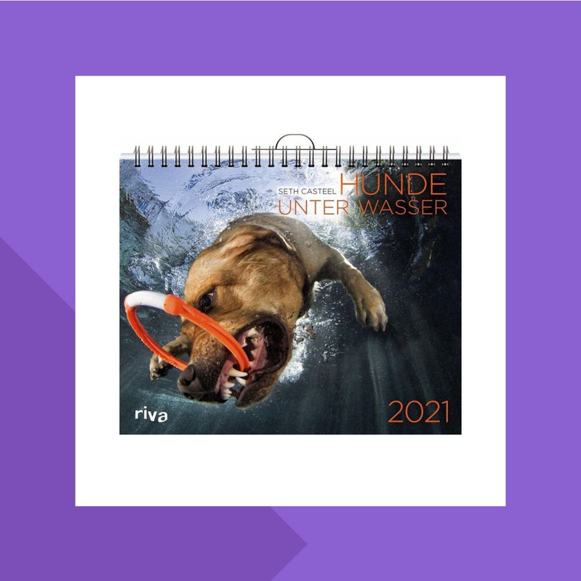 „Hunde unter Wasser“-Kalender 2021
