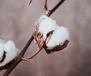 Baumwolle waschen: Mit diesen Tipps läuft dir nichts mehr ein