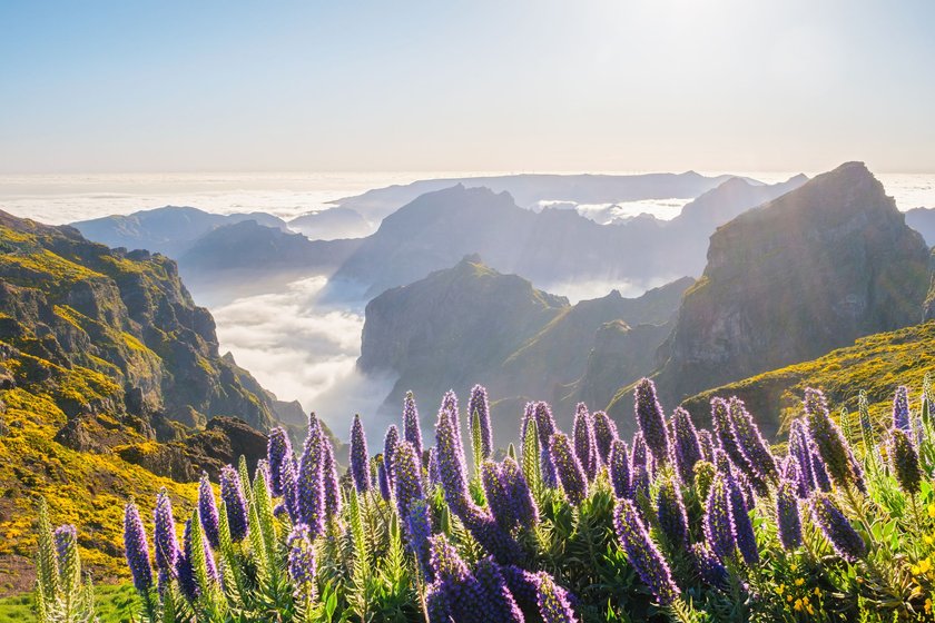 Pico do Arieiro