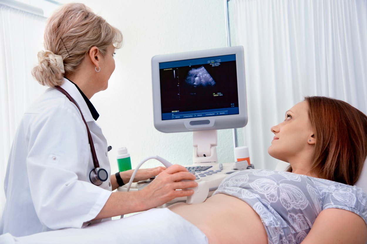 Vom Embryo zum Fötus Vom Embryo zum Fötus