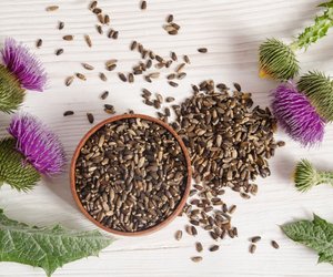 Distel&#x00F6;l&#x3A;&#x20;Wie&#x20;gesund&#x20;ist&#x20;das&#x20;&#x00D6;l&#x20;der&#x20;weltweit&#x20;verbreiteten&#x20;Pflanze&#x3F;