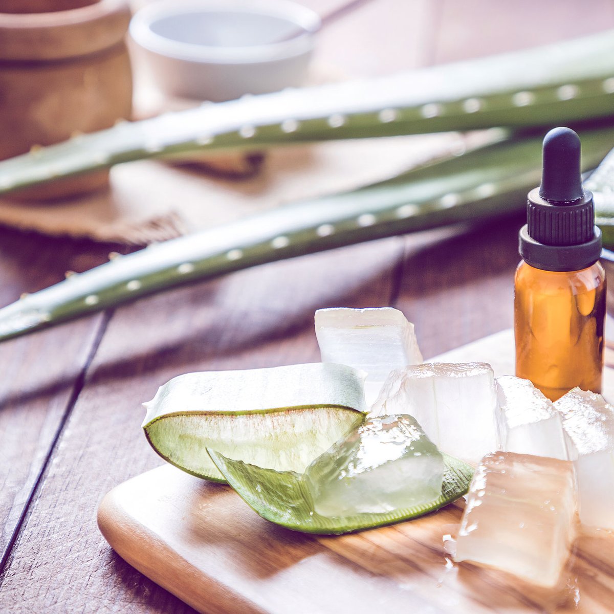 Aloe Vera richtig verwenden: So pflegt sie Haut und Haare