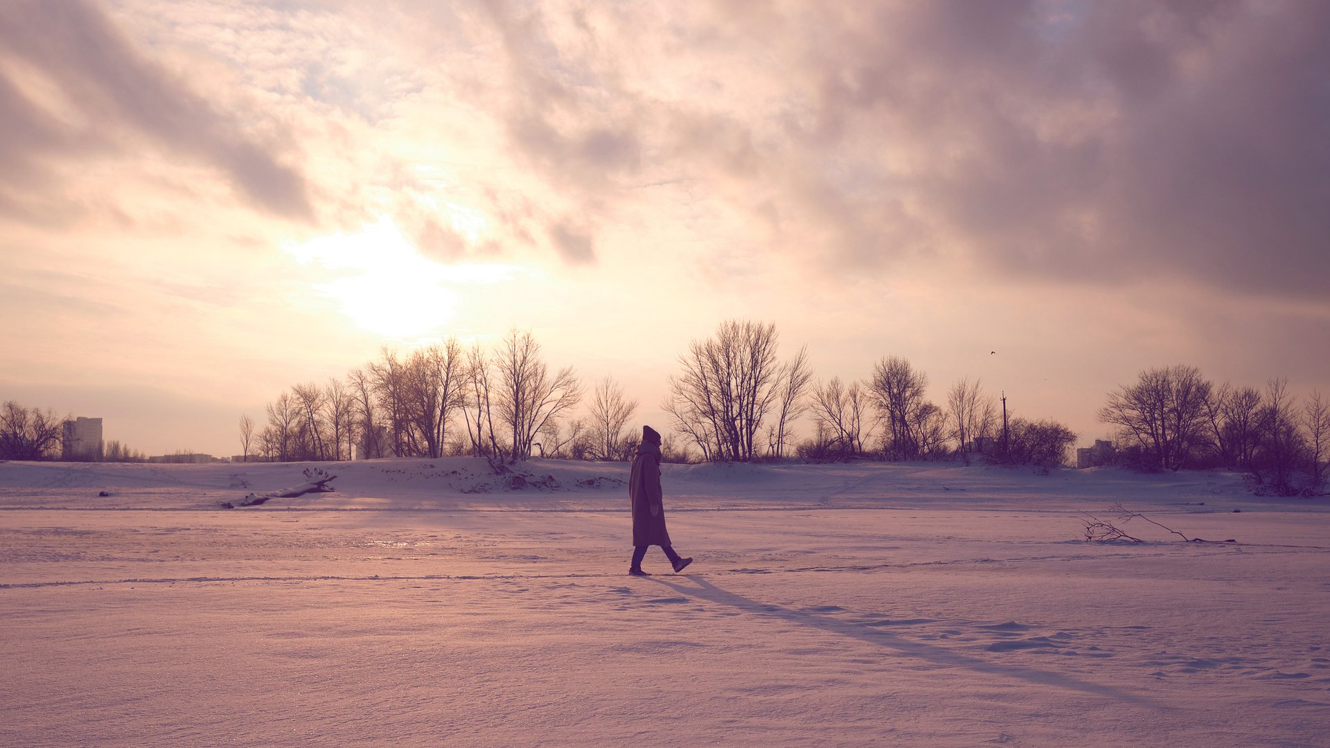 Kraftschub-f-r-alle-3-Themen-die-der-Neumond-im-Steinbock-jetzt-bereith-lt