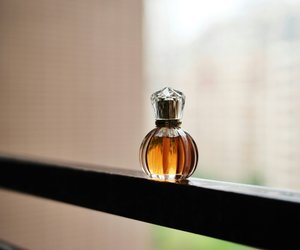 Die besten Winter-Düfte: Opulente Parfums, die mit ihrer Intensität und Tiefe verzaubern