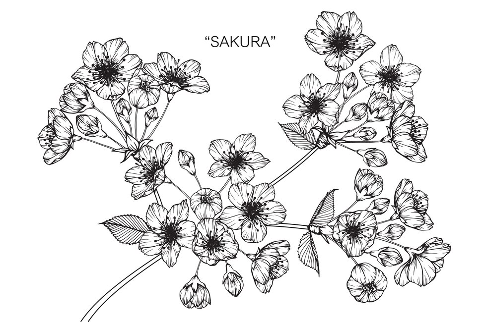 21 Vorlagen Fur Dein Blumen Tattoo Desired De