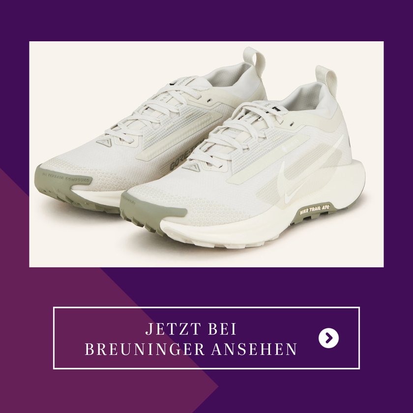 Nike&#x20;-&#x20;Pegasus&#x20;Trail&#x20;5&#x20;GTX