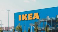 Cooler Ikea-Hack für den Herbst: Diese niedliche Deko kostet dich keine 5 Euro