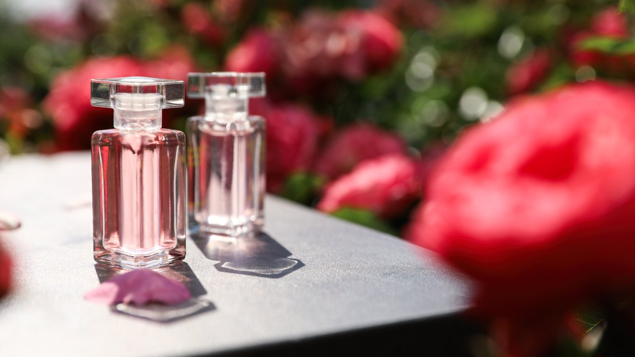 Die Rose gehört zu den beliebtesten Duftnoten in femininen Parfums.