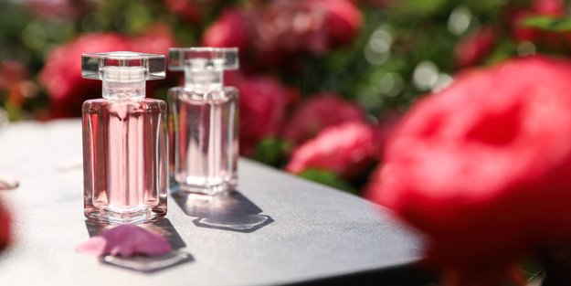 Für nur 10 Euro: Dieser Rosenduft ist ein echter Liebling