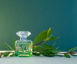 Diese 5 Apfeldüfte entführen dich in Gedanken in einen Sommergarten