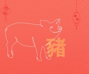 Chinesisches Sternzeichen Schwein: Bedeutung und Eigenschaften