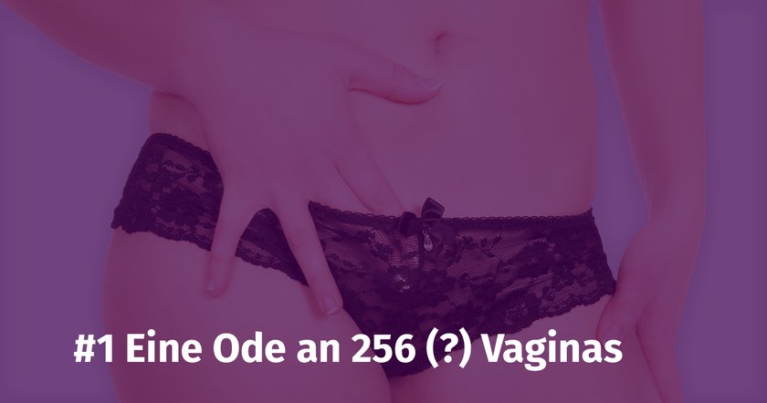 #1 Eine Ode an 256 (?) Vaginas