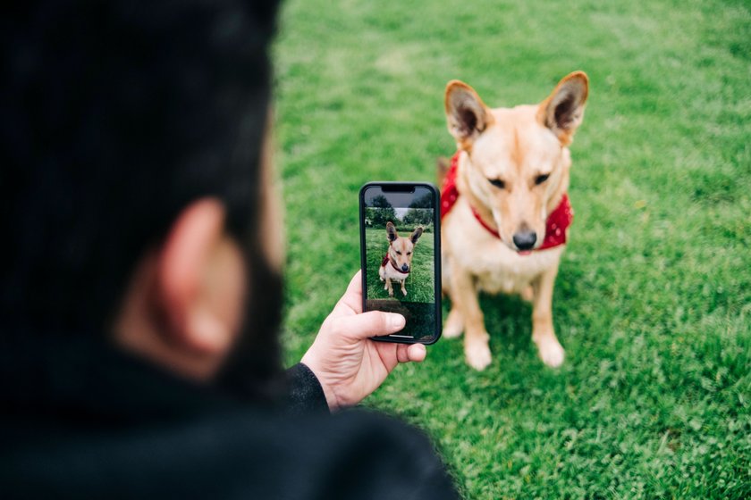 Ein Mann fotografiert seinen Hund.