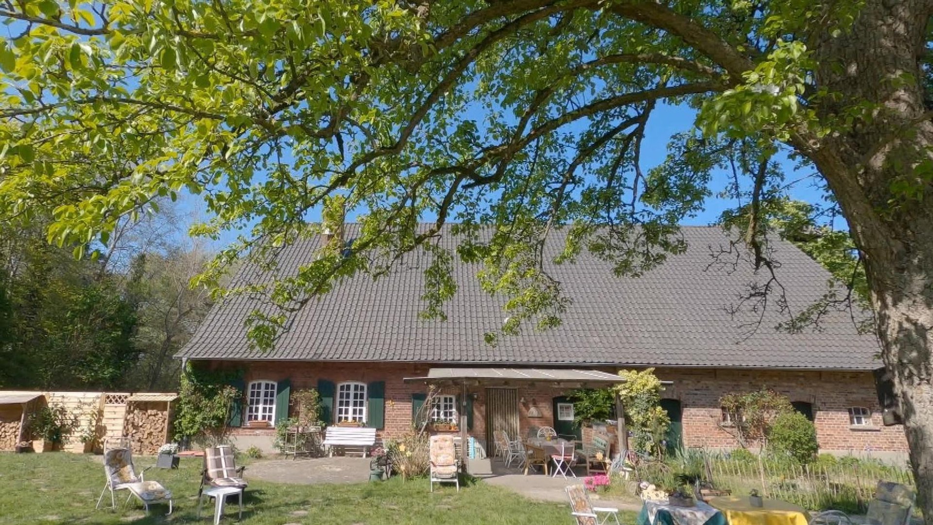 Die-13-krassesten-Zitate-aus-10-Jahren-Das-Sommerhaus-der-Stars-