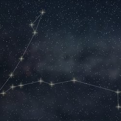 Persönlichkeitstest: Sternzeichen Fische – Finde heraus, wie typisch du wirklich bist