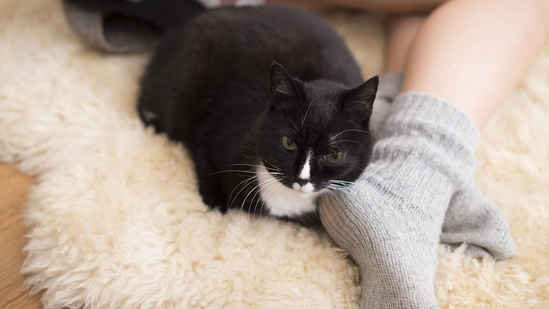 Diese-Teppiche-von-Oma-gelten-heute-wieder-als-schick