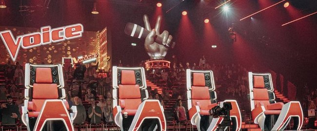 Die „The Voice of Germany" Sieger: Was sie heute machen