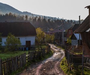 Düstere Ereignisse: Tess Gerritsens neuer Thriller versetzt eine Kleinstadt in Angst