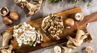 Sind Austernpilze gesund? Wir haben nachgeforscht!