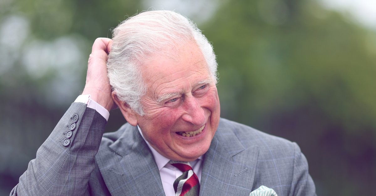 TamponGate & mehr Die größten Skandale von König Charles III.