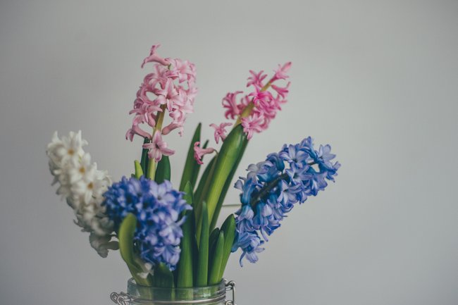 Osterstrauß: Blumen &amp;amp; Zweige für wunderschöne Deko