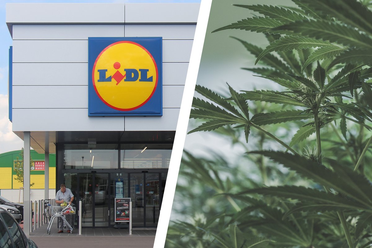 Legal Zum Rauchen Bei Lidl Kannst Du Cannabis Kaufen Desired De