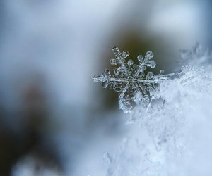 5 cozy Winter-Reads für kalte, verschneite Sonntage