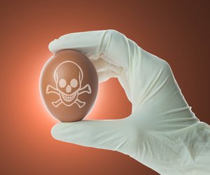 Vergiftete Eier: Diese Kennziffern sind betroffen