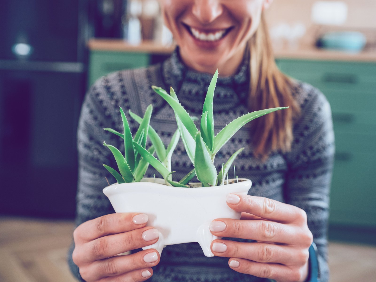 Mit diesem Gietrick bleibt deine Aloe vera das ganze Jahr ber prall und  gesund