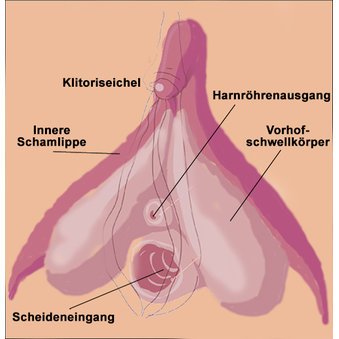Stimulation der Klitoris