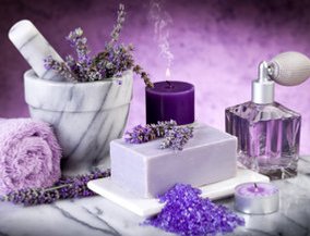 Lavendel ist in jeder Form ein Klassiker. Lavendel ist in jeder Form ein Klassiker.