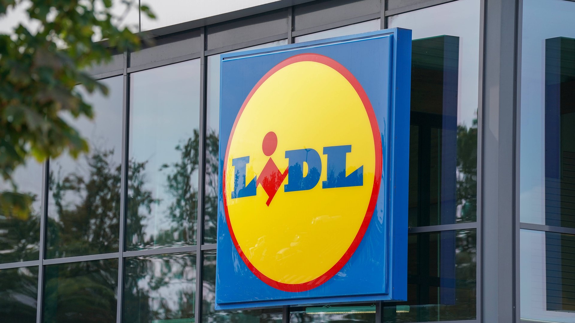 preissensation-bei-lidl-8-euro-lichterbogen-wird-zum-weihnachtsliebling