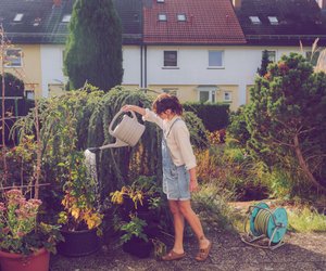 Diese Mondkalender-Geheimnisse machen deinen Garten zum absoluten Traum