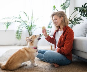 Für lernfreudige Fellnasen: Mit diesem tollen Tchibo-Gadget spricht dein Hund mit dir