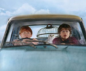 Hamburg Tipps für „Harry Potter“-Fans: So erlebst du einen Tag voller Magie