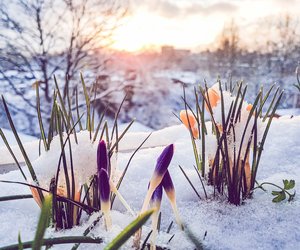 Der Winter kommt zurück: Vielerorts im März wieder Schnee erwartet