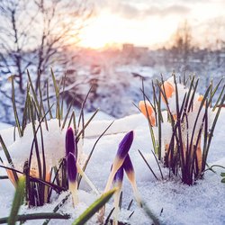 Der Winter kommt zurück: Vielerorts im März wieder Schnee erwartet