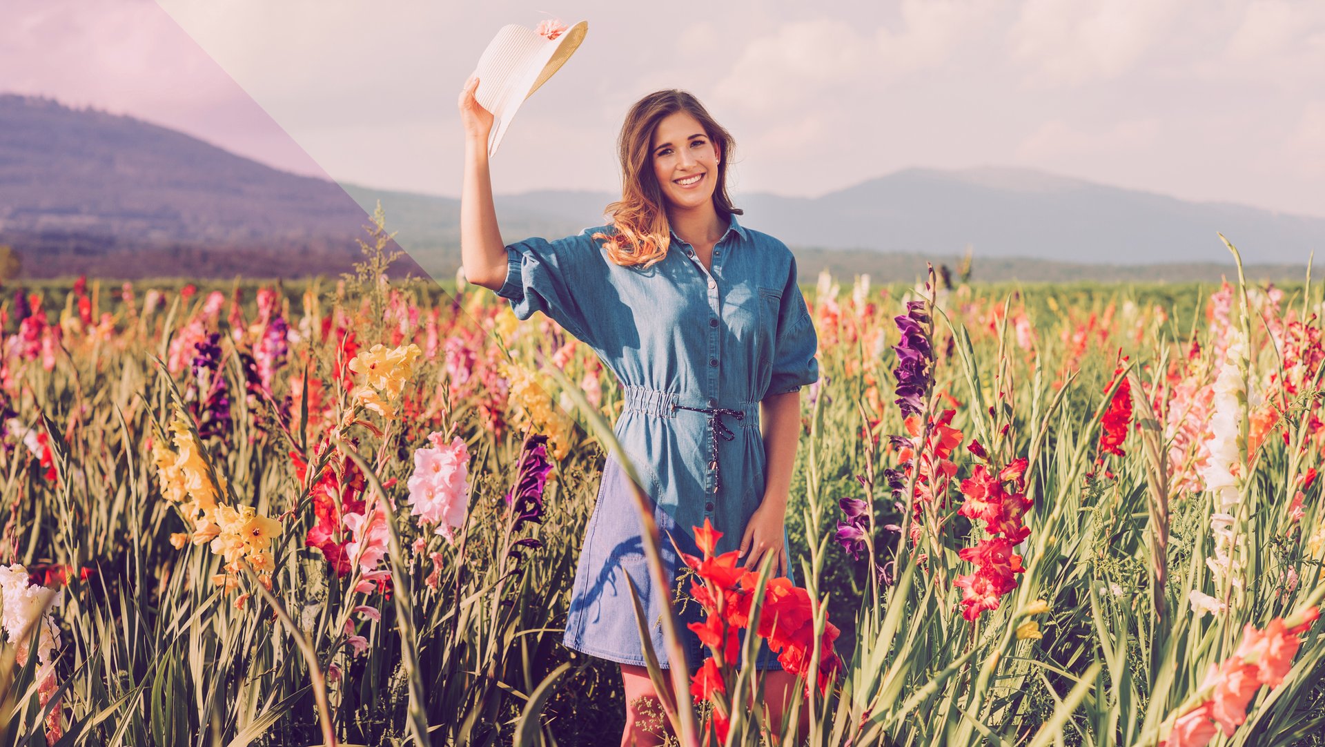 Bedeutung Der Gladiole Was Es Mit Der Blume Auf Sich Hat Desired De