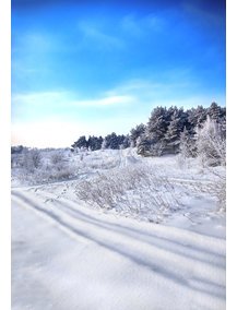 Winterliche Landschaft Winterliche Landschaft