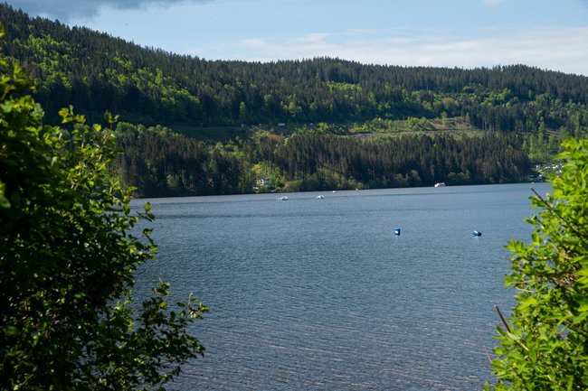 Der Titisee.